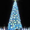 クリスマスツリー
